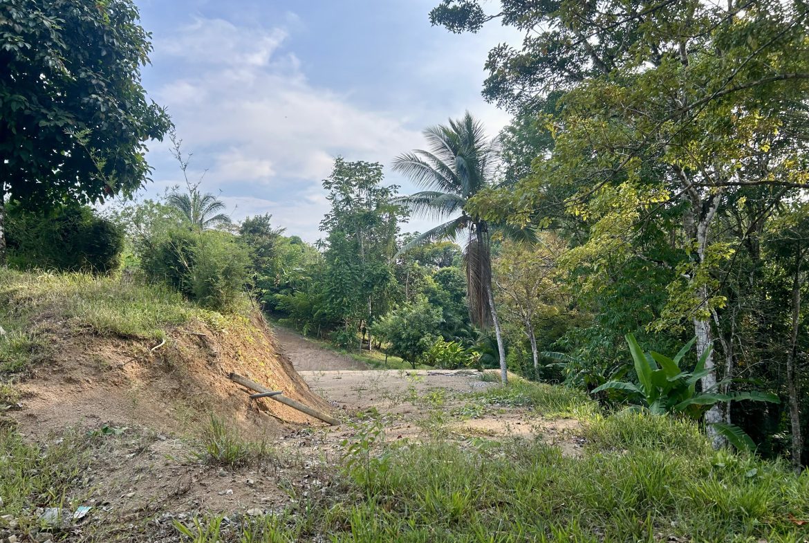 LUXURIOUS PRE-CONSTRUCTION 3-BEDROOM HOME IN DESIRED PLAYA HERMOSA – 0.57 ACRES